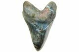 Realistic, Carved Labradorite Megalodon Tooth - Replica #202025-2